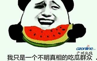 吃瓜网友是什么意思